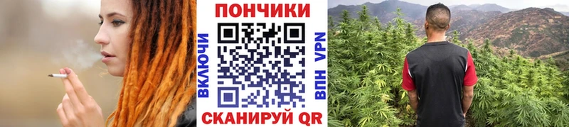 Бошки Шишки VHQ  Купить закладки  Сураж 